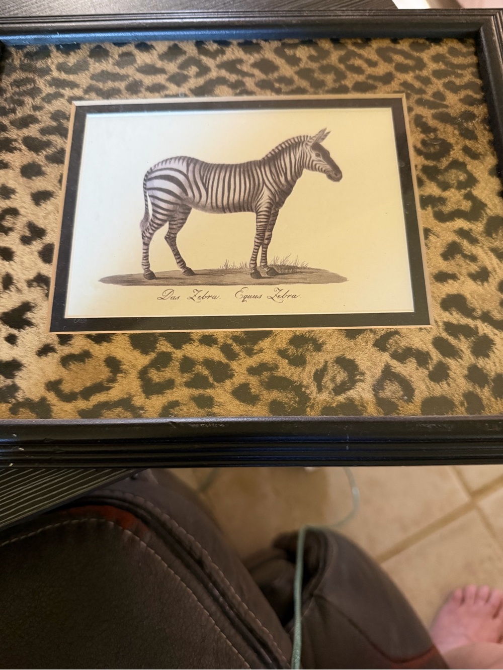 Framed Zebra Illustration with Leopard Mat - Black Frame